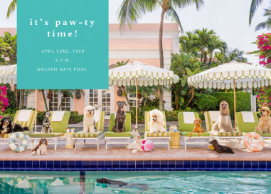 Dog Day Afternoon - Pool Party Invitation by Gray Malin