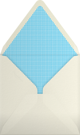 Snowflake Multiple - The Indigo Bunting Envelope