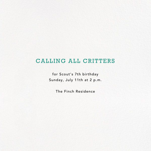 Harlequin - Petit Collage by Petit Collage - Back