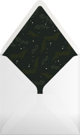 Triple Interior Border  - Paperless Post Envelope