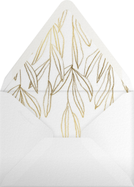 Aravah - Paperless Post Envelope