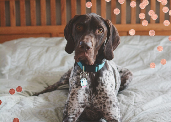 Confetti Photo - Stationery by kate spade new york