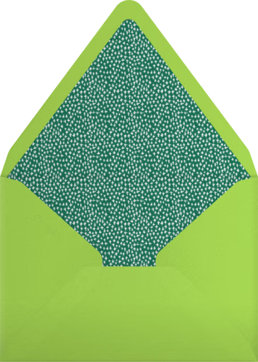 Birthday Wishesss - Mr. Boddington's Studio Envelope