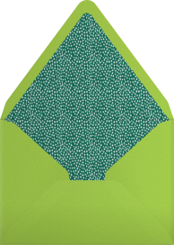 Birthday Wishesss - Mr. Boddington's Studio Envelope