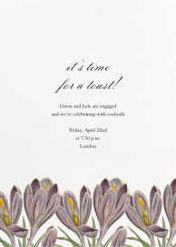 Crocus Vernus by John Derian