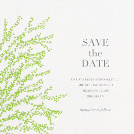 Forsythia Branch - Save the Date by Paperless Post