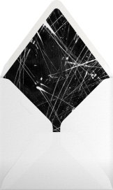 Precise (Photo) - Kelly Wearstler Envelope