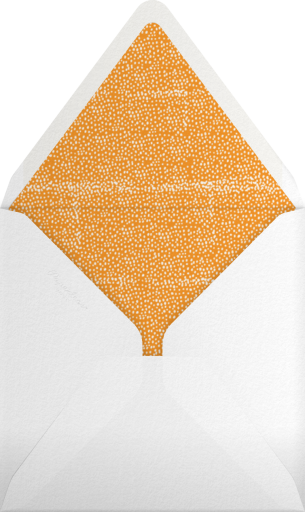 Sunburned Again - Mr. Boddington's Studio Envelope