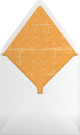 Sunburned Again - Mr. Boddington's Studio Envelope