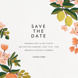 Citrus Orchard Suite (Save the Date) by Rifle Paper Co.
