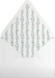 Something Blue Bow (Riley Sheehey) - Dogwood Hill Envelope