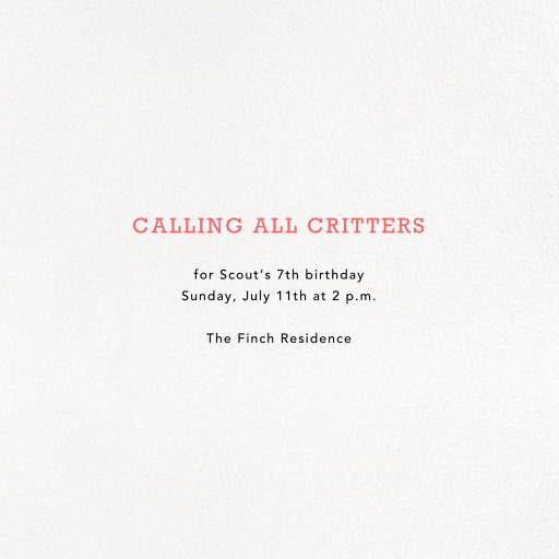 Harlequin - Petit Collage - Birthday Invitation by Petit Collage - Back