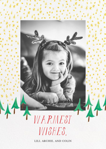 Glittery Tree in the Forest (Photo) - Holiday Card by Mr. Boddington's Studio