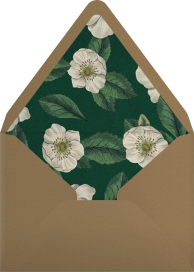 Hellebore Christmas Rose (Photo) - John Derian Envelope