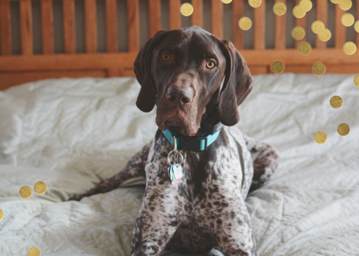 Confetti Photo - Stationery by kate spade new york