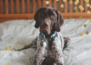 Confetti Photo - Stationery by kate spade new york