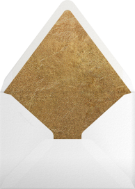 Plume Tall - Paperless Post Envelope