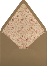 Shirley Poppies - John Derian Envelope