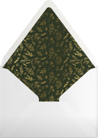 Beguiled - Paperless Post Envelope