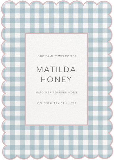 Gingham Shower - Adoption Announcement by Meri Meri