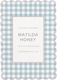 Gingham Shower - Adoption Announcement by Meri Meri