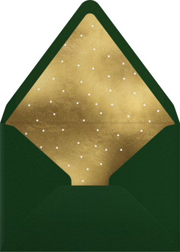 Geometric Snowflakes - Paperless Post Envelope