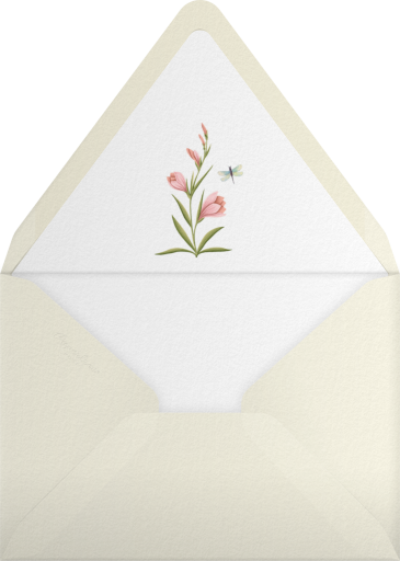 Botanical Illustrations - Sketch Design Studio Envelope