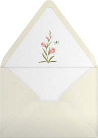 Botanical Illustrations - Sketch Design Studio Envelope