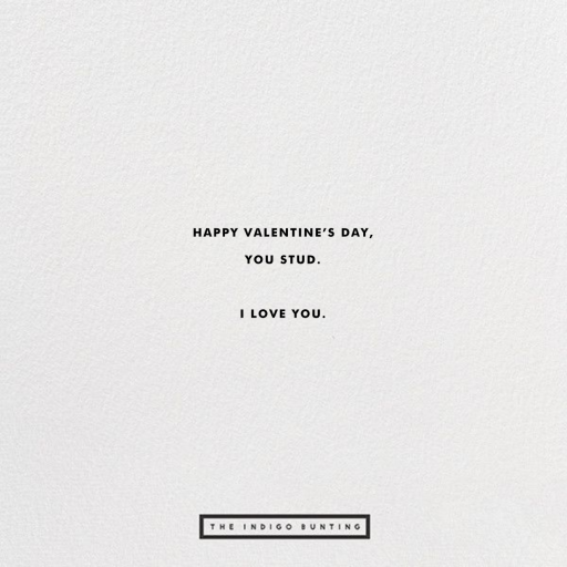 Stud Muffin - Valentine's Day Card by The Indigo Bunting - Back