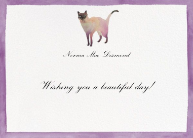 Mr. Socks by Happy Menocal