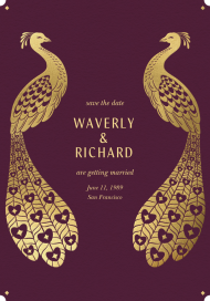 Morpankh in Gold by Chand Sitara