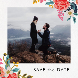 Birch Monarch (Photo) by Rifle Paper Co.