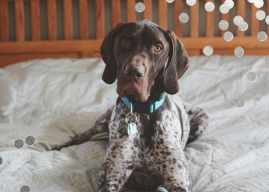 Confetti Photo - Stationery by kate spade new york