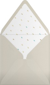 Party Animals - Paperless Post Envelope