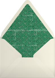 Regal Turkey - Mr. Boddington's Studio Envelope