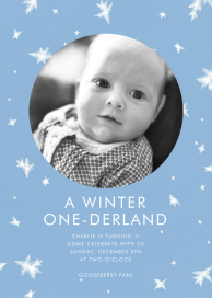 Snow Crystals Photo - First Birthday Invitation by Paperless Post