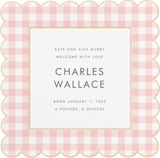 Gingham Shower Photo by Meri Meri - Back