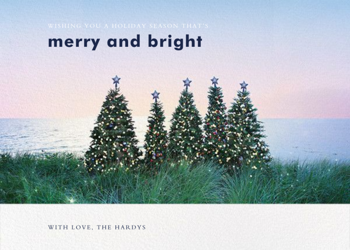 Christmas Trees - Christmas Card by Gray Malin