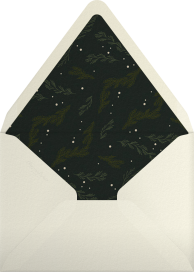 Wintergreen Frame - Paperless Post Envelope