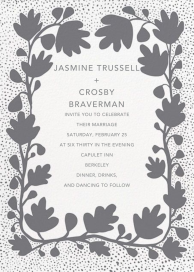 Ficus by Linda and Harriett