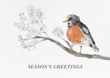 English Robin (Greeting) - Holiday Card by Paperless Post