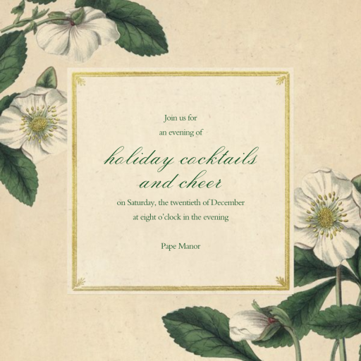 Hellebore Christmas Rose (Invitation) by John Derian