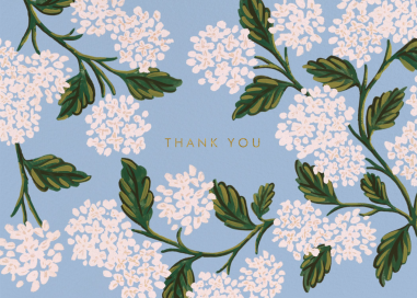 Hydrangea in Bloom - Thank You Card by Rifle Paper Co.