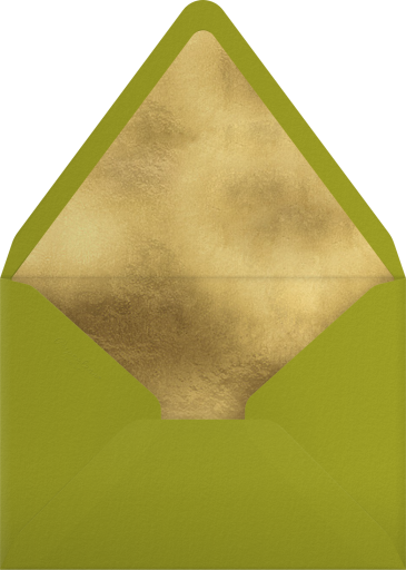 Photo Photo Ornaments Holiday Card Envelope
