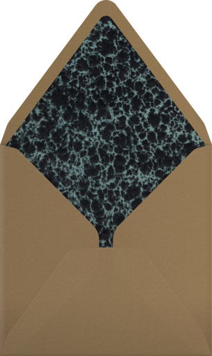 Globe - John Derian Envelope