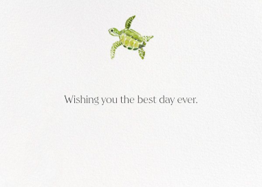 Tortuga (Stationery) by Paperless Post