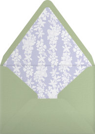 Springline - Paperless Post Envelope