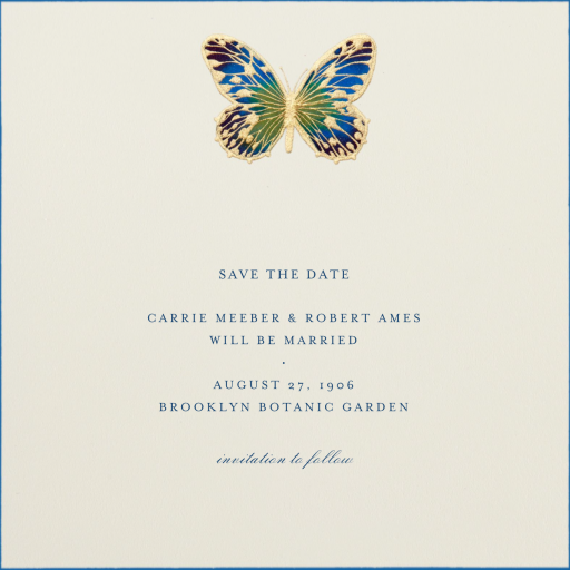 Hand Painted Butterfly - Party Invitation by Bernard Maisner