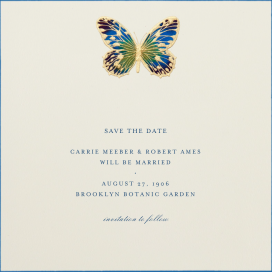 Hand Painted Butterfly - Spring Party Invitation by Bernard Maisner