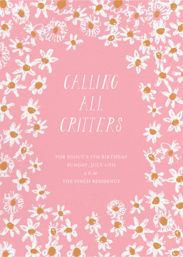 Among the Daisies by Mr. Boddington's Studio